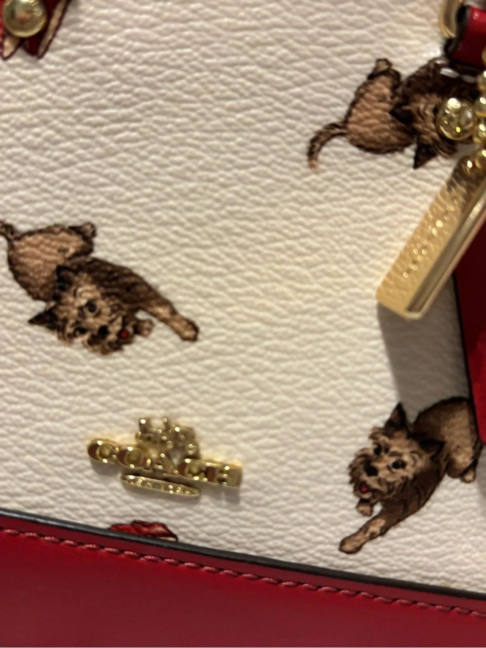 Rare Coach x Wizard of Oz Bag & Wallet Set – Toto & Ruby Slippers